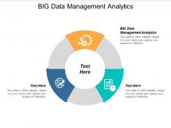 Big data management analytics ppt powerpoint presentation gallery files cpb