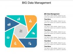 Big data management ppt powerpoint presentation gallery icon cpb