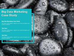 Big data marketing case study ppt powerpoint presentation portfolio graphics cpb