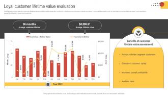 Big Data Marketing Loyal Customer Lifetime Value Evaluation MKT SS V