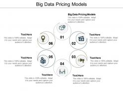 Big data pricing models ppt powerpoint presentation slides inspiration cpb
