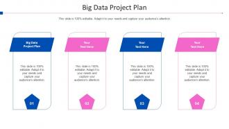 Big Data Project Plan Ppt Powerpoint Presentation Inspiration Master Slide Cpb