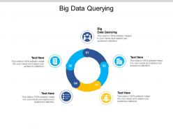 Big data querying ppt powerpoint presentation show graphics tutorials cpb