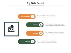 Big data report ppt powerpoint presentation infographic template graphic tips cpb