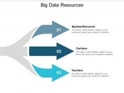 Big data resources ppt powerpoint presentation gallery portfolio cpb