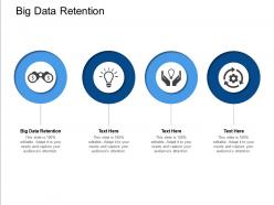 Big data retention ppt powerpoint presentation pictures graphic tips cpb