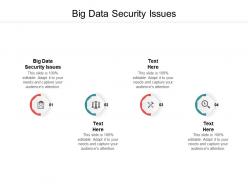 Big data security issues ppt powerpoint presentation infographic template show cpb