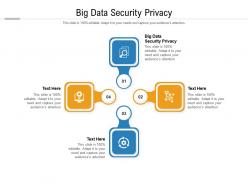 Big data security privacy ppt powerpoint presentation infographic template good cpb