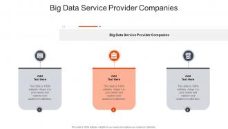 Big Data Service Provider Companies In Powerpoint And Google Slides Cpb