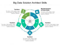 Big data solution architect skills ppt powerpoint presentation show inspiration cpb