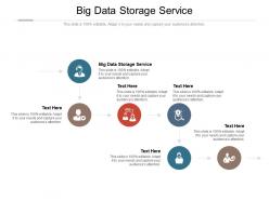 Big data storage service ppt powerpoint presentation icon introduction cpb