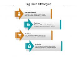 Big data strategies ppt powerpoint presentation inspiration background designs cpb