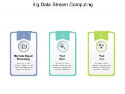 Big data stream computing ppt powerpoint presentation inspiration visual aids cpb