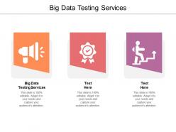 Big data testing services ppt powerpoint presentation infographics diagrams cpb