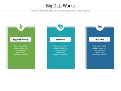Big data works ppt powerpoint presentation portfolio graphics cpb