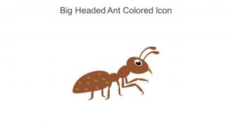 Big Headed Ant Colored Icon In Powerpoint Pptx Png And Editable Eps Format