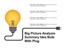 Big picture analysis summary idea bulb with plug
