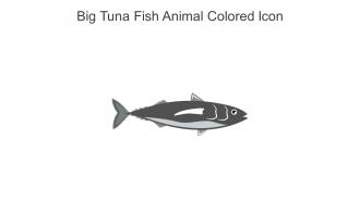 Big Tuna Fish Animal Colored Icon In Powerpoint Pptx Png And Editable Eps Format