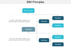 Bim principles ppt powerpoint presentation layouts example introduction cpb