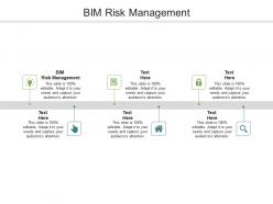 Bim risk management ppt powerpoint presentation ideas graphics cpb