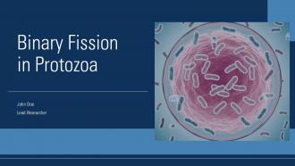 Binary Fission In Protozoa PPT Graphics ACP