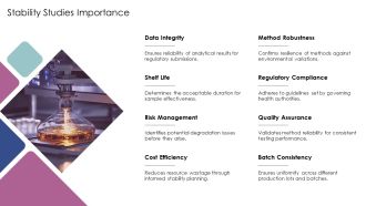 Bioanalytical Method Validation Step By Step PPT Template AT Professional Colorful