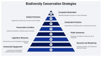 Biodiversity Conservation Strategies Ecological Fragmentation PPT Information ACP