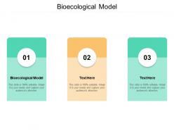 Bioecological model ppt powerpoint presentation layouts portrait cpb