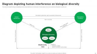 Biological Diversity Powerpoint Ppt Template Bundles Informative Graphical