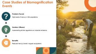 Biomagnification And Bioaccumilation PPT PowerPoint ACP Images Image