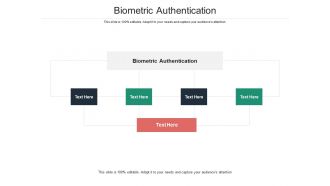 Biometric authentication ppt powerpoint presentation portfolio shapes cpb