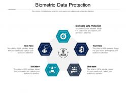 Biometric data protection ppt powerpoint presentation styles guide cpb