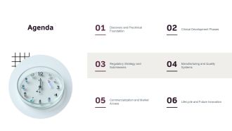 Biopharmaceutical Development Process PPT Mockup VA Image Colorful
