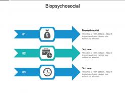 Biopsychosocial ppt powerpoint presentation pictures show cpb