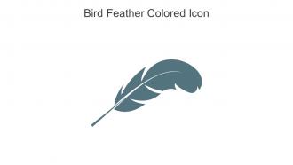 Bird Feather Colored Icon In Powerpoint Pptx Png And Editable Eps Format