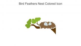 Bird Feathers Nest Colored Icon In Powerpoint Pptx Png And Editable Eps Format