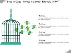 Birds in cage money collection example of ppt