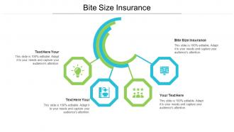 Bite size insurance ppt powerpoint presentation infographics graphics cpb