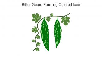 Bitter Gourd Farming Colored Icon In Powerpoint Pptx Png And Editable Eps Format