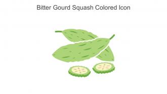 Bitter Gourd Squash Colored Icon In Powerpoint Pptx Png And Editable Eps Format