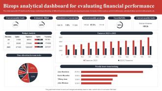 Bizops Analytical Dashboard For Evaluating Financial Performance