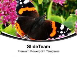 Black and yellow butterfly for nature theme powerpoint templates ppt themes and graphics 0513