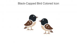 Black Capped Bird Colored Icon In Powerpoint Pptx Png And Editable Eps Format