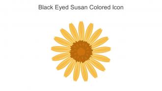 Black Eyed Susan Colored Icon In Powerpoint Pptx Png And Editable Eps Format