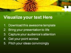 Black eyed susans nature powerpoint templates and powerpoint backgrounds 0211
