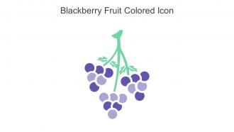 Blackberry Fruit Colored Icon In Powerpoint Pptx Png And Editable Eps Format