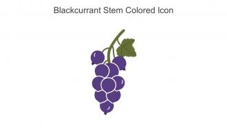 Blackcurrant Stem Colored Icon In Powerpoint Pptx Png And Editable Eps Format