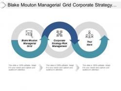 blake_mouton_managerial_grid_corporate_strategy_risk_management_cpb_Slide01