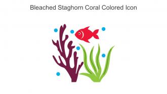 Bleached Staghorn Coral Colored Icon In Powerpoint Pptx Png And Editable Eps Format