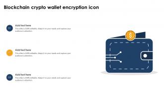 Blockchain Crypto Wallet Encryption Icon